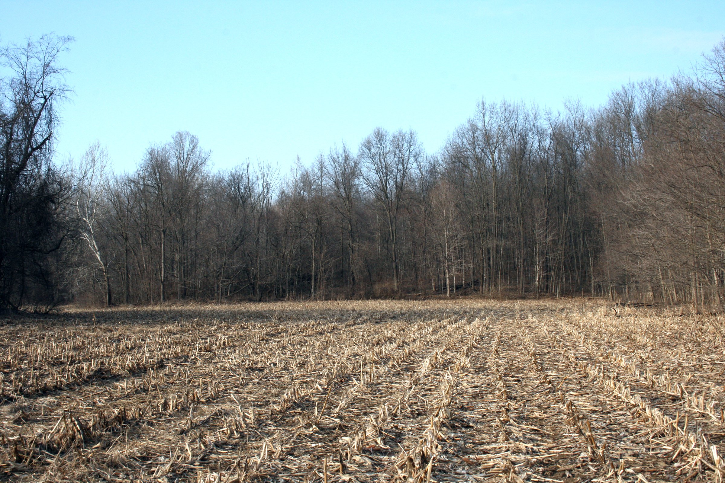 Property photo 5 - REAL ESTATE AUCTION - 84.5+/- ACRES IN 4 TRACTS IN WHITLEY COUNTY, INDIANA
